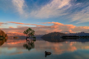 追光南十字星下 2018新西兰摄影自驾游手记（更新中）