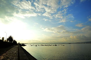 光影的诗篇 镜头下的郊外海边晨光