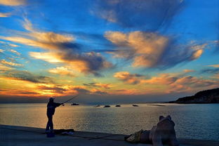 探寻光影之美 网络摄影大赛官方网站的魅力